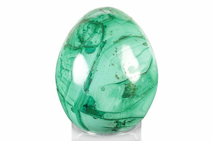 Flowery, Polished Malachite Egg - Congo #241941